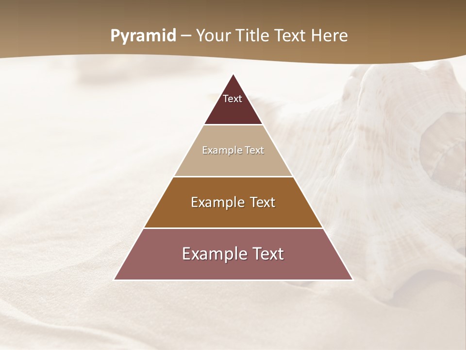 A Sea Shell On A Sandy Beach Powerpoint Template PowerPoint Template