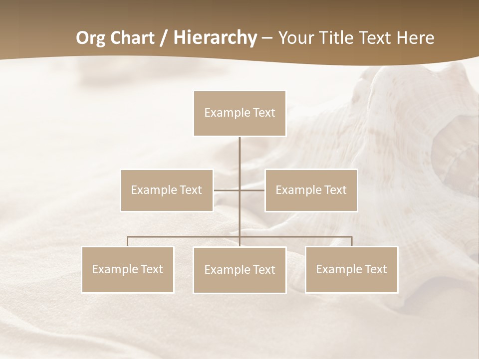 A Sea Shell On A Sandy Beach Powerpoint Template PowerPoint Template