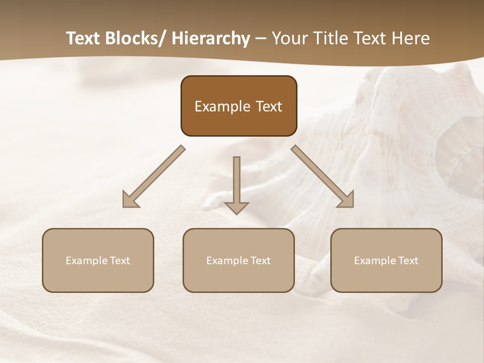 A Sea Shell On A Sandy Beach Powerpoint Template PowerPoint Template