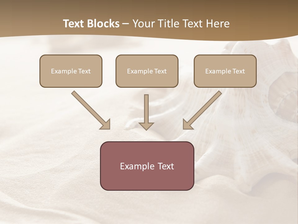 A Sea Shell On A Sandy Beach Powerpoint Template PowerPoint Template