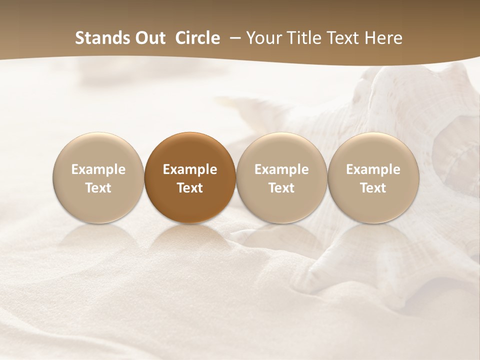 A Sea Shell On A Sandy Beach Powerpoint Template PowerPoint Template