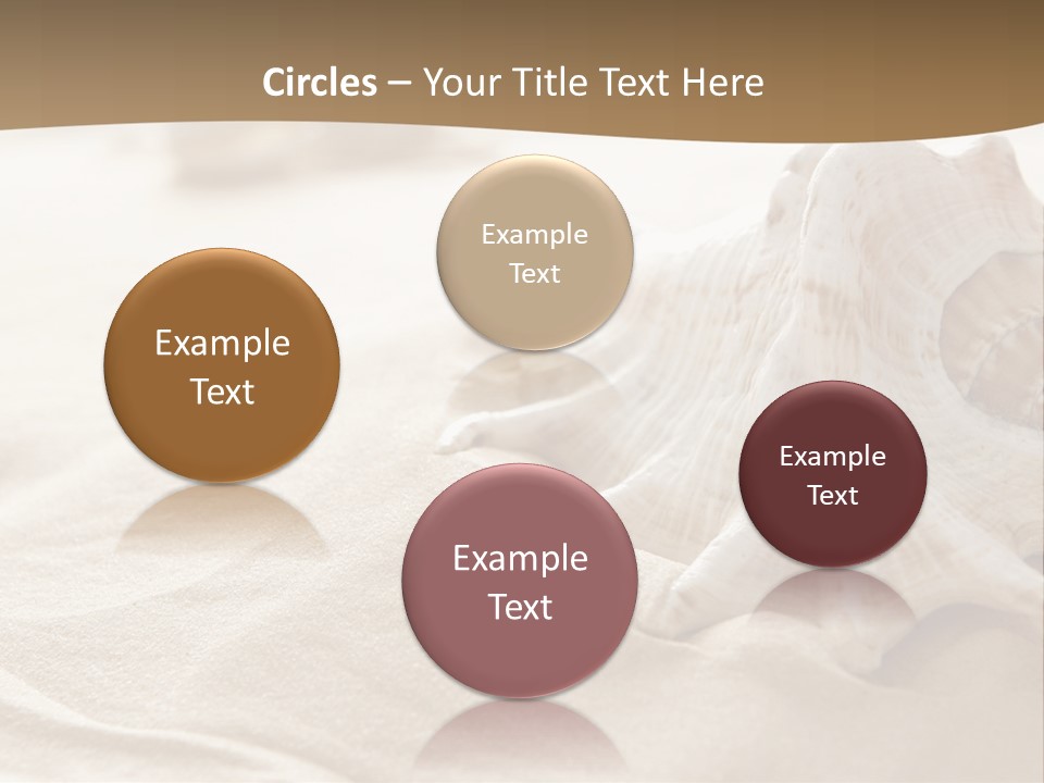 A Sea Shell On A Sandy Beach Powerpoint Template PowerPoint Template