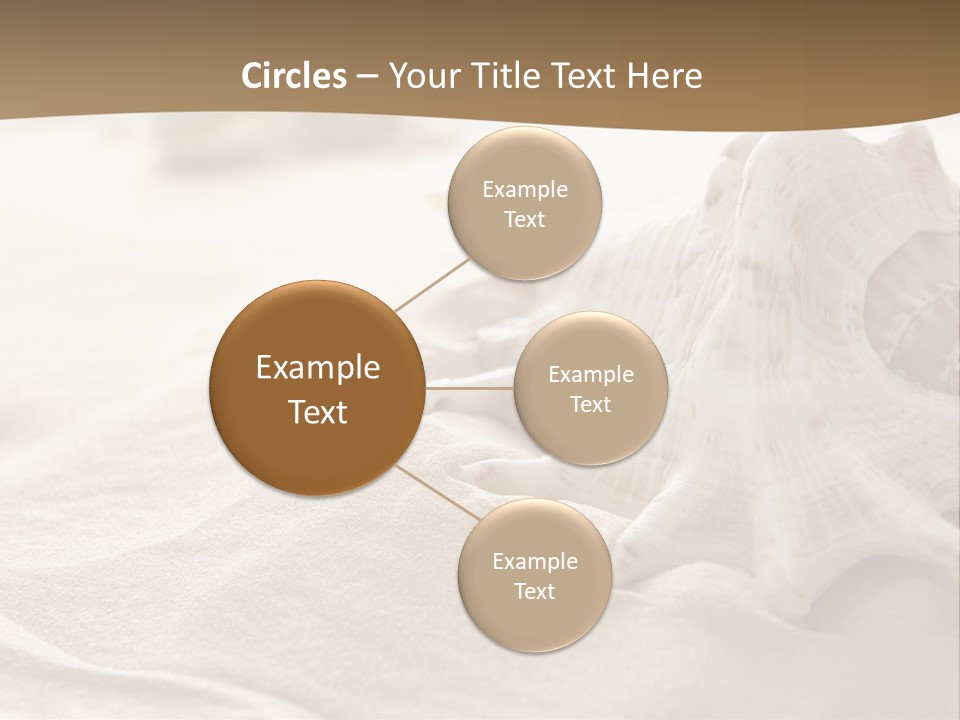 A Sea Shell On A Sandy Beach Powerpoint Template PowerPoint Template
