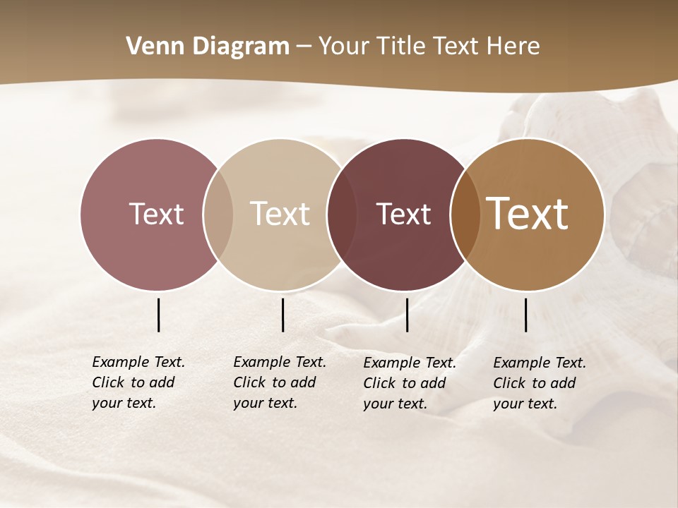 A Sea Shell On A Sandy Beach Powerpoint Template PowerPoint Template