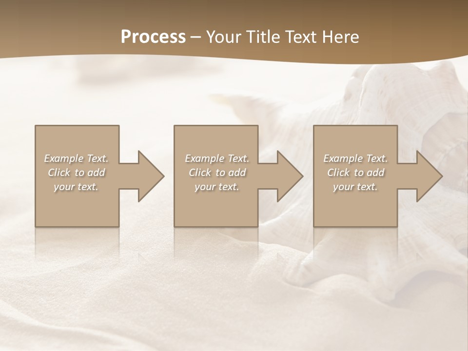 A Sea Shell On A Sandy Beach Powerpoint Template PowerPoint Template