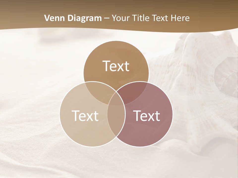 A Sea Shell On A Sandy Beach Powerpoint Template PowerPoint Template
