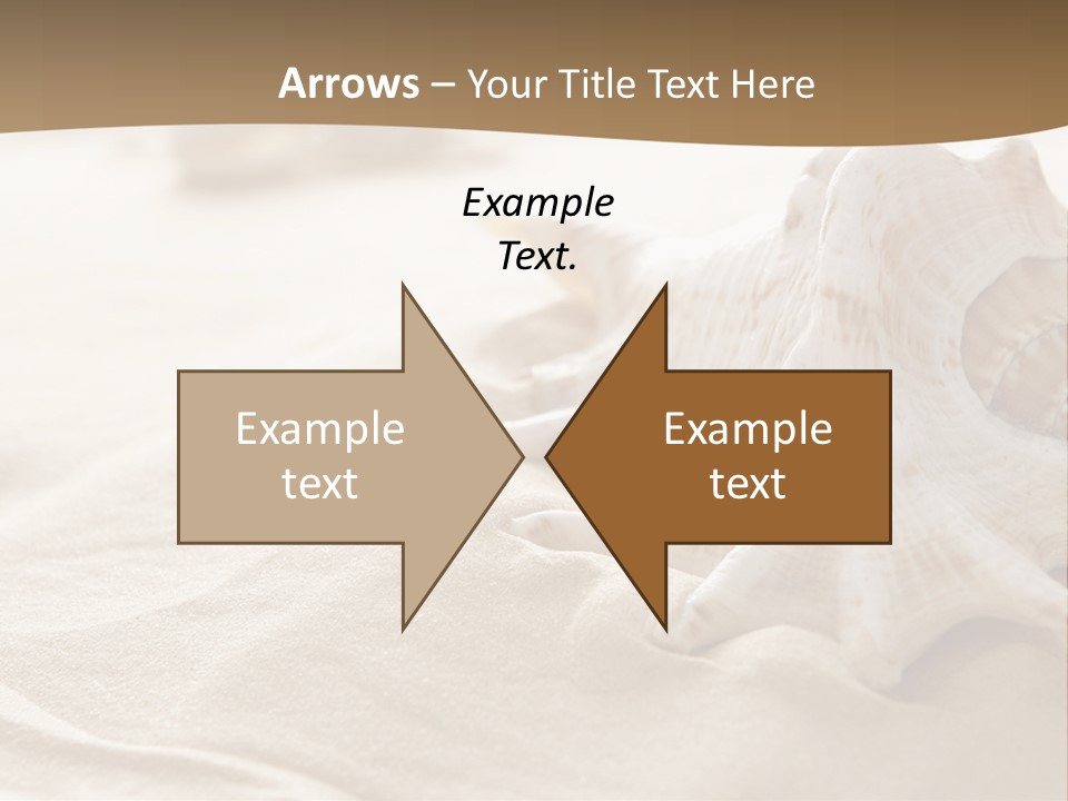 A Sea Shell On A Sandy Beach Powerpoint Template PowerPoint Template