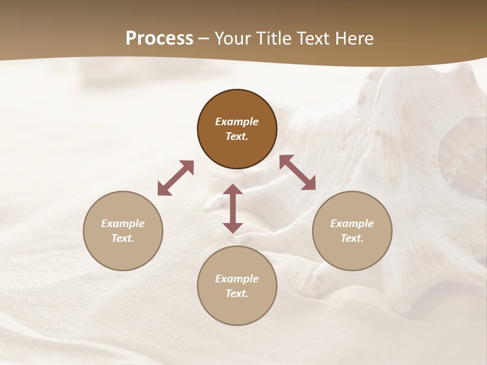 A Sea Shell On A Sandy Beach Powerpoint Template PowerPoint Template