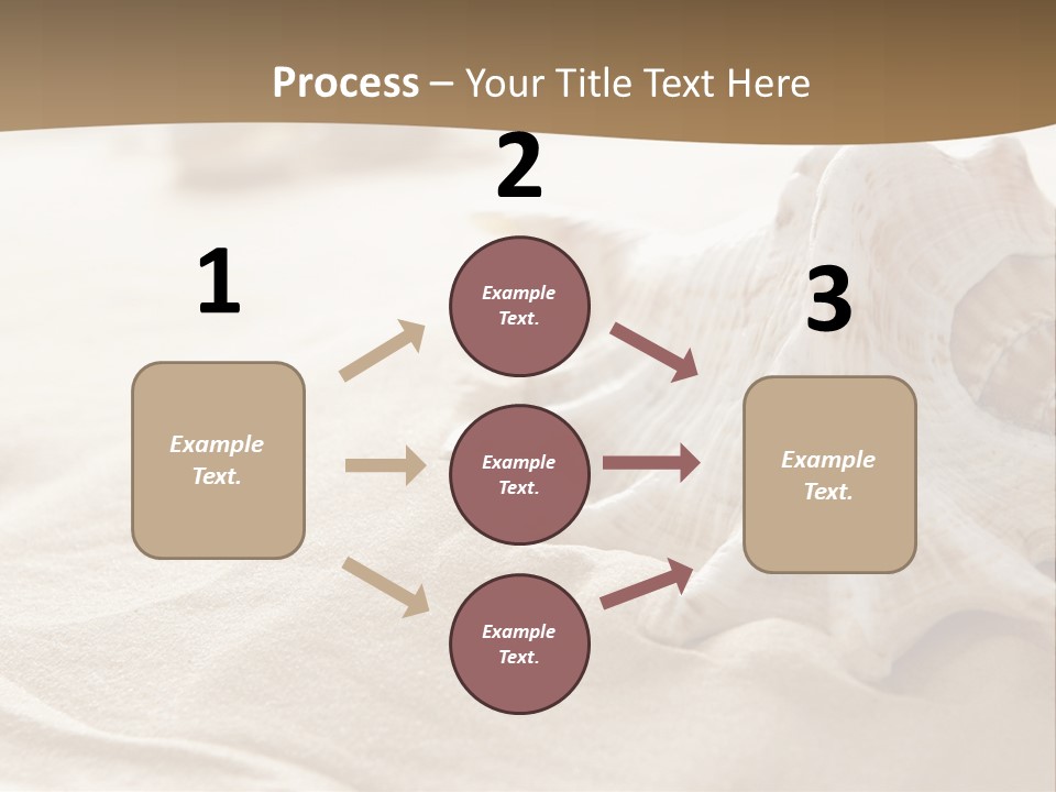 A Sea Shell On A Sandy Beach Powerpoint Template PowerPoint Template