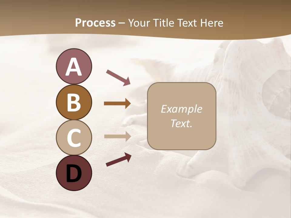 A Sea Shell On A Sandy Beach Powerpoint Template PowerPoint Template