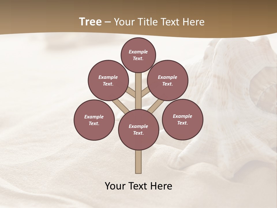 A Sea Shell On A Sandy Beach Powerpoint Template PowerPoint Template