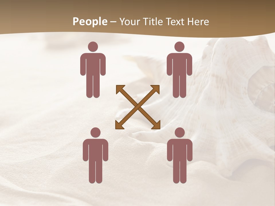 A Sea Shell On A Sandy Beach Powerpoint Template PowerPoint Template