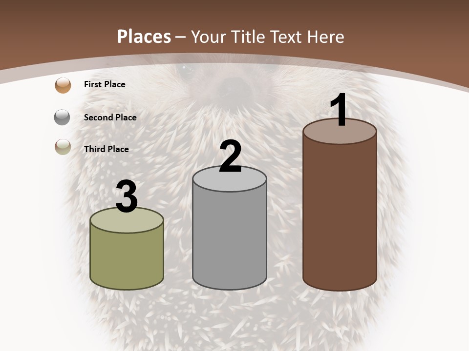 A Hedgehog Sitting On Top Of A White Plate PowerPoint Template