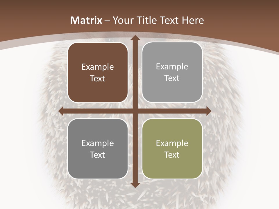 A Hedgehog Sitting On Top Of A White Plate PowerPoint Template