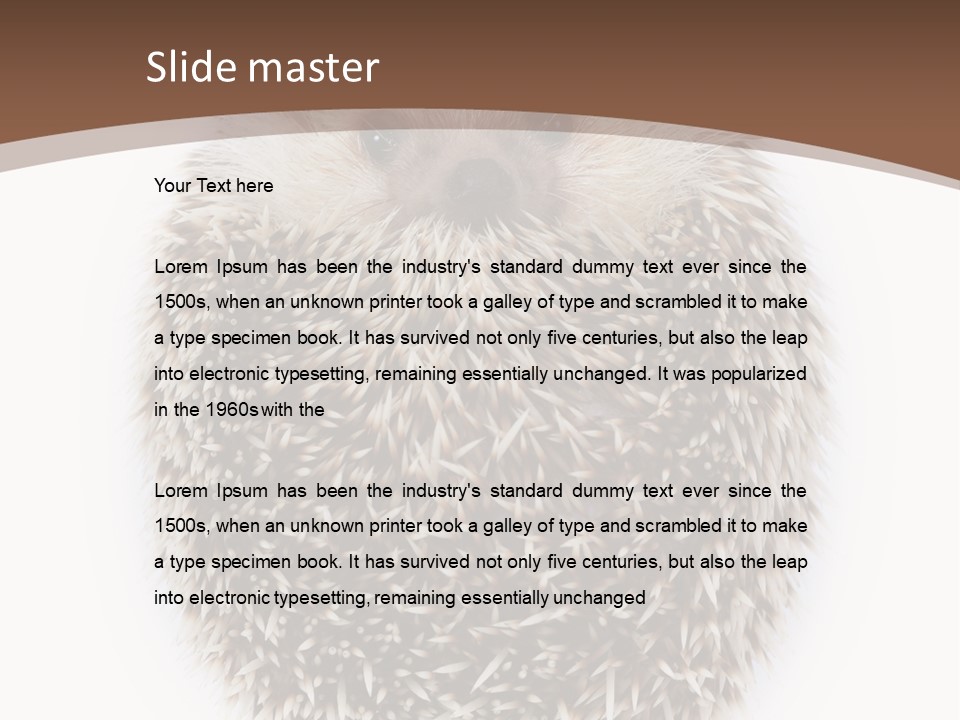 A Hedgehog Sitting On Top Of A White Plate PowerPoint Template