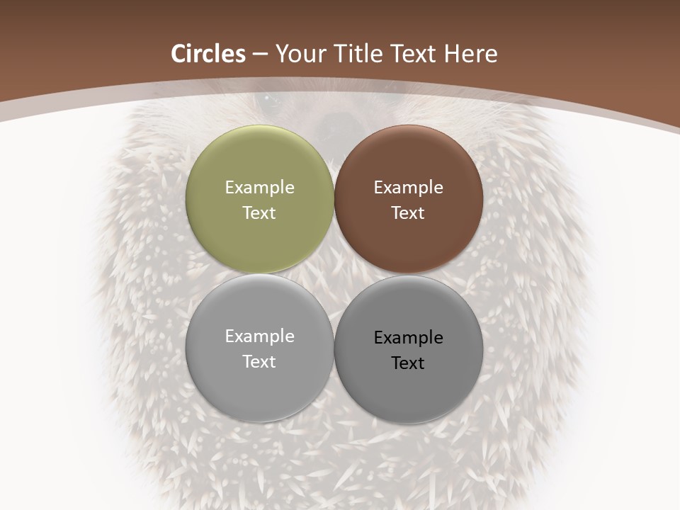 A Hedgehog Sitting On Top Of A White Plate PowerPoint Template