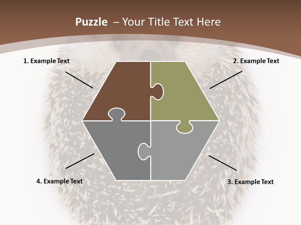 A Hedgehog Sitting On Top Of A White Plate PowerPoint Template