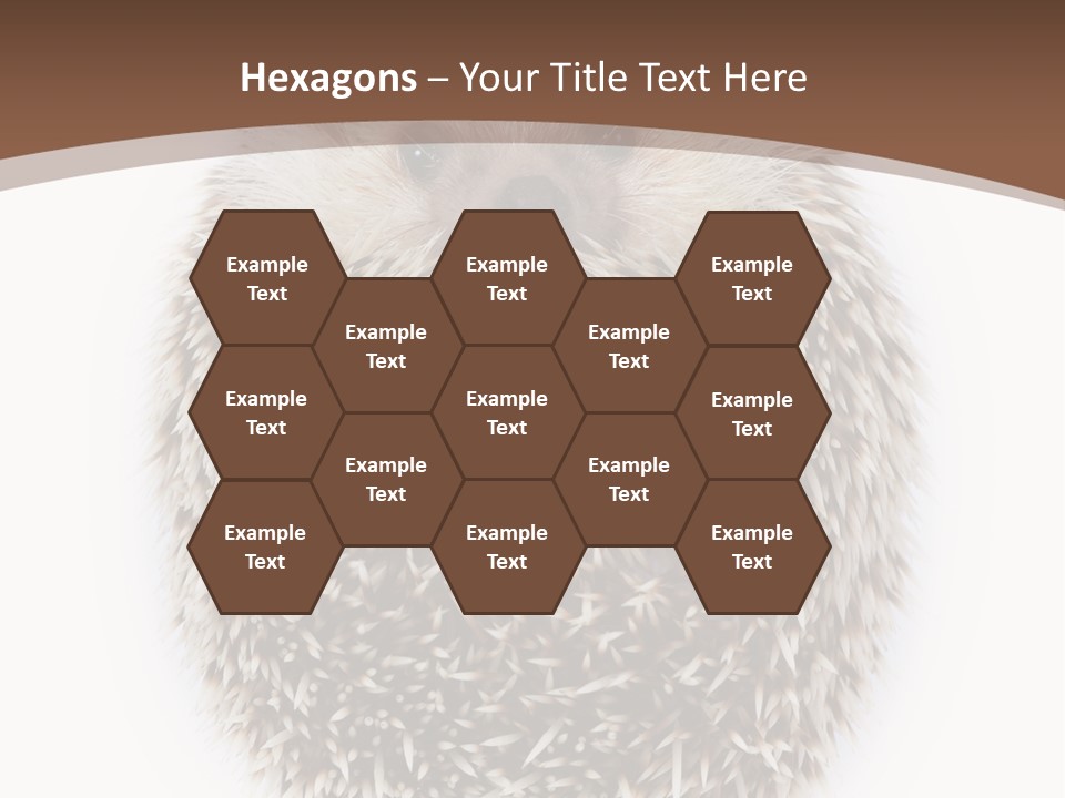 A Hedgehog Sitting On Top Of A White Plate PowerPoint Template