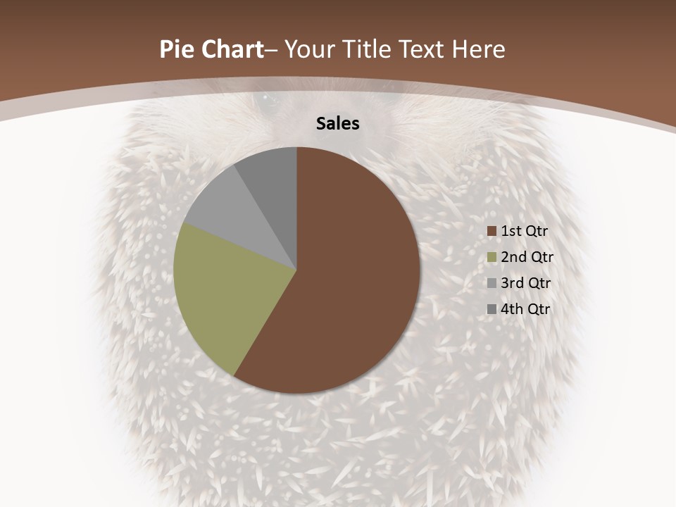 A Hedgehog Sitting On Top Of A White Plate PowerPoint Template