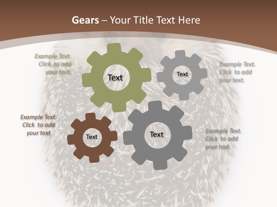 A Hedgehog Sitting On Top Of A White Plate PowerPoint Template