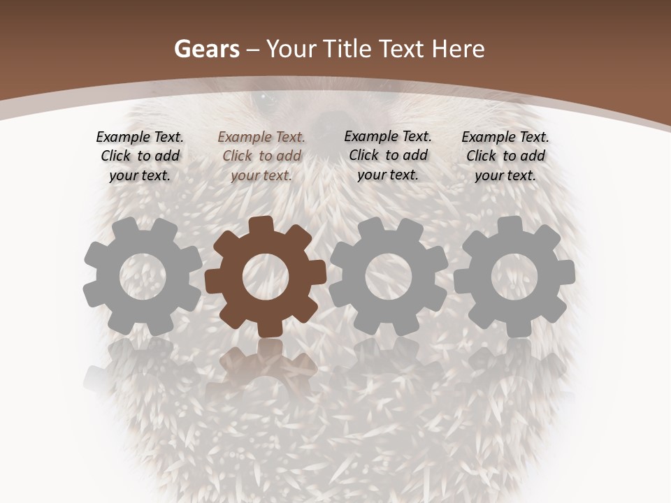 A Hedgehog Sitting On Top Of A White Plate PowerPoint Template