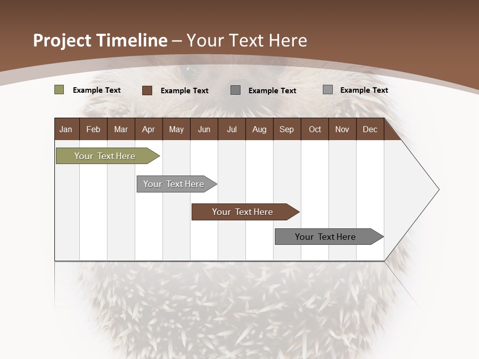 A Hedgehog Sitting On Top Of A White Plate PowerPoint Template