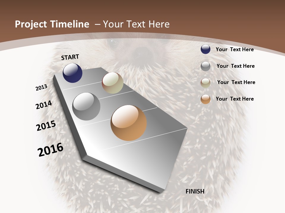 A Hedgehog Sitting On Top Of A White Plate PowerPoint Template