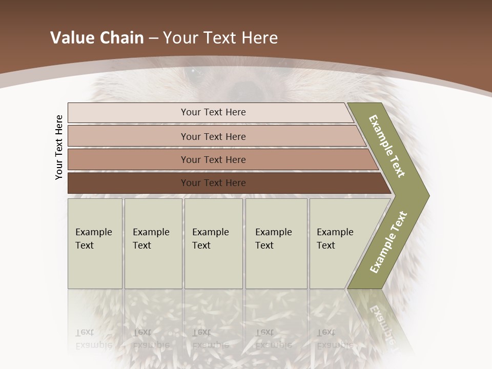 A Hedgehog Sitting On Top Of A White Plate PowerPoint Template