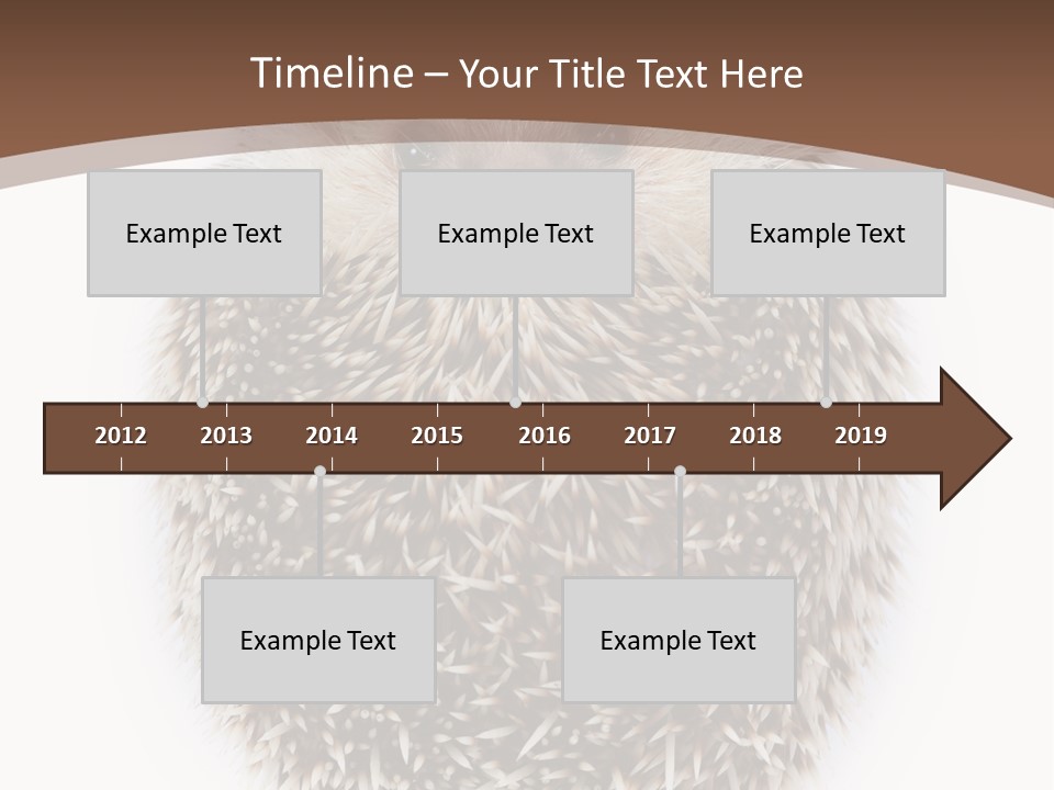 A Hedgehog Sitting On Top Of A White Plate PowerPoint Template