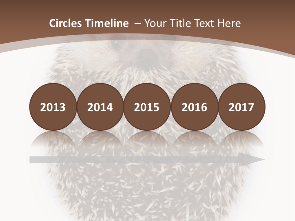 A Hedgehog Sitting On Top Of A White Plate PowerPoint Template