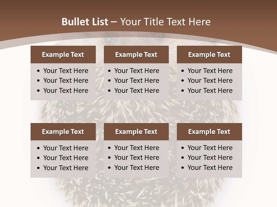 A Hedgehog Sitting On Top Of A White Plate PowerPoint Template