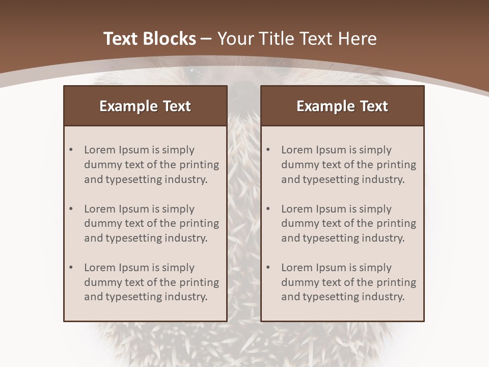 A Hedgehog Sitting On Top Of A White Plate PowerPoint Template