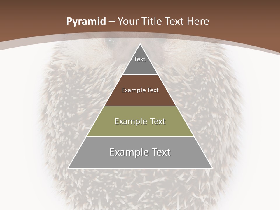 A Hedgehog Sitting On Top Of A White Plate PowerPoint Template