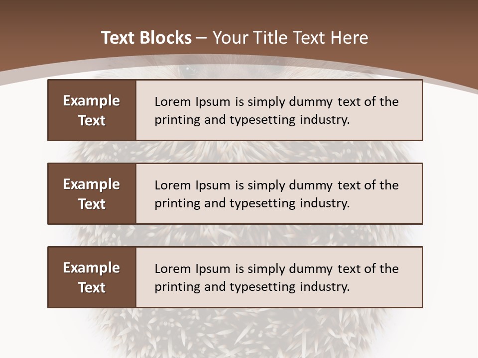 A Hedgehog Sitting On Top Of A White Plate PowerPoint Template