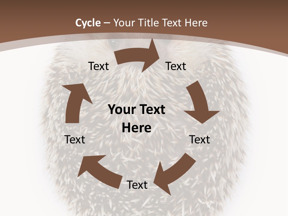 A Hedgehog Sitting On Top Of A White Plate PowerPoint Template