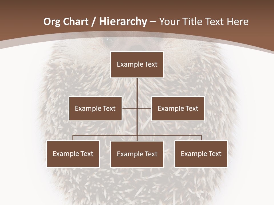 A Hedgehog Sitting On Top Of A White Plate PowerPoint Template