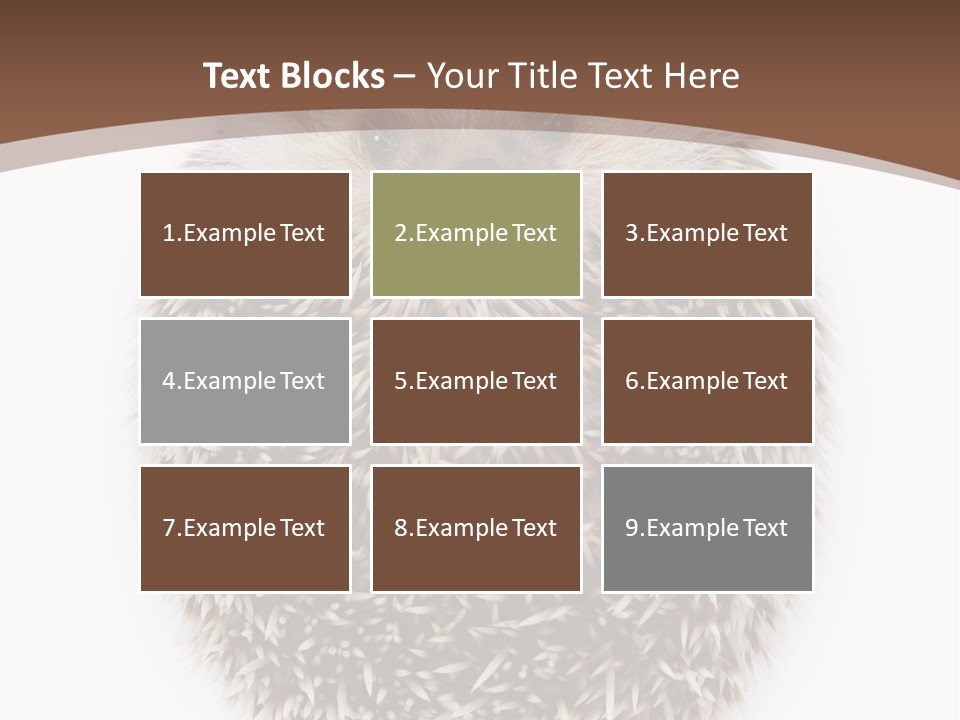 A Hedgehog Sitting On Top Of A White Plate PowerPoint Template