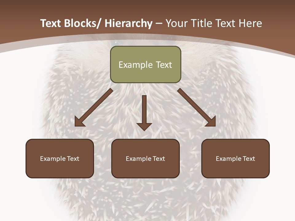 A Hedgehog Sitting On Top Of A White Plate PowerPoint Template