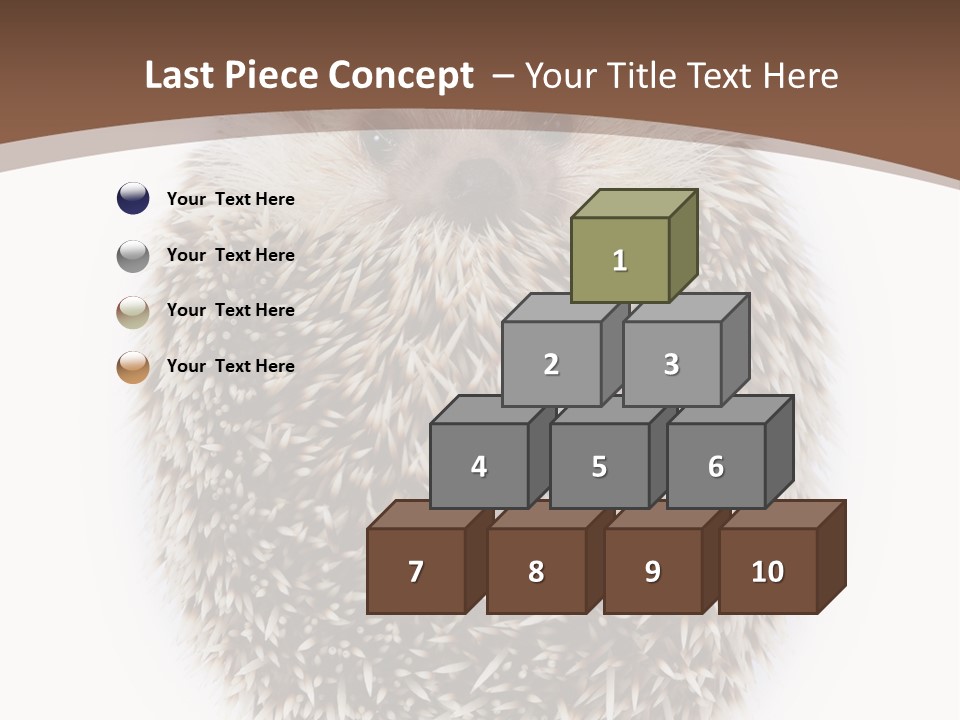 A Hedgehog Sitting On Top Of A White Plate PowerPoint Template