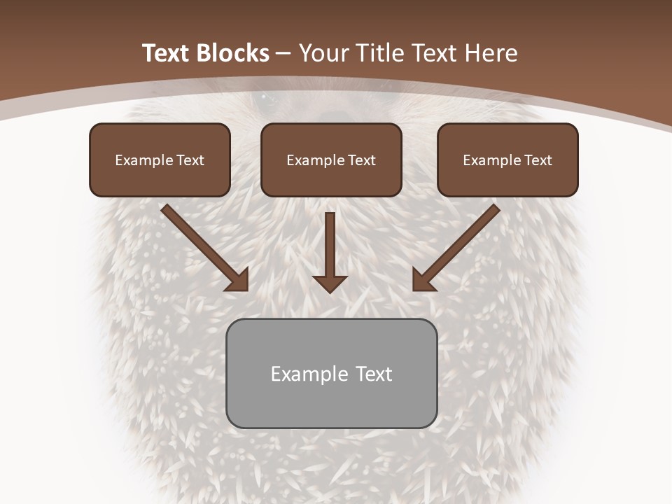 A Hedgehog Sitting On Top Of A White Plate PowerPoint Template