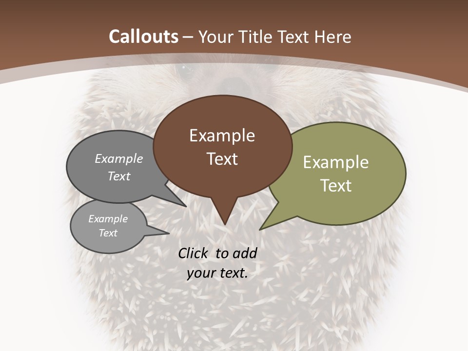 A Hedgehog Sitting On Top Of A White Plate PowerPoint Template
