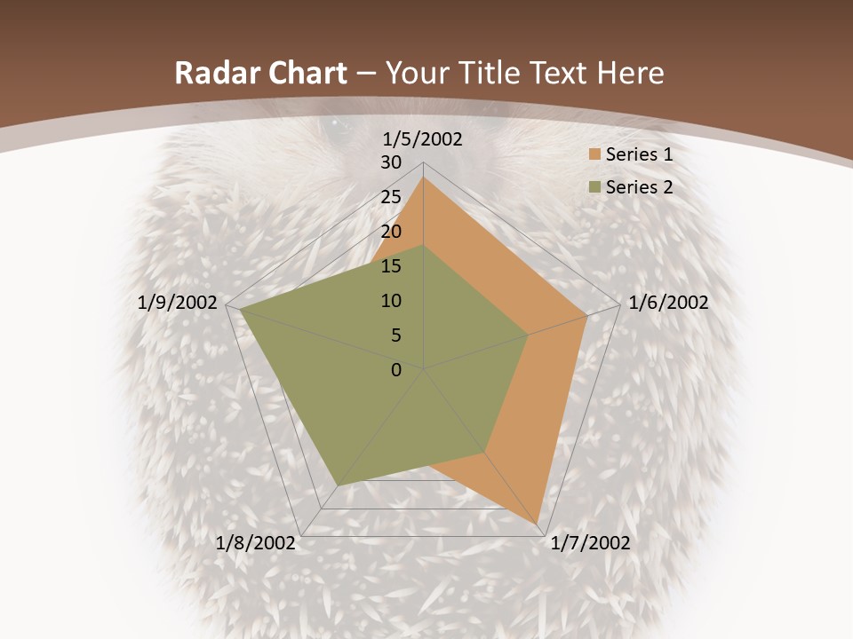 A Hedgehog Sitting On Top Of A White Plate PowerPoint Template