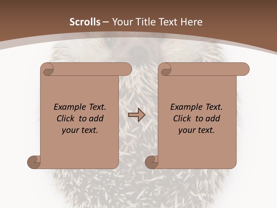 A Hedgehog Sitting On Top Of A White Plate PowerPoint Template
