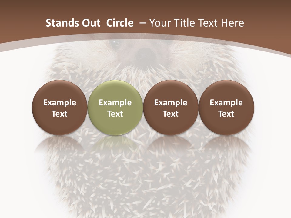 A Hedgehog Sitting On Top Of A White Plate PowerPoint Template
