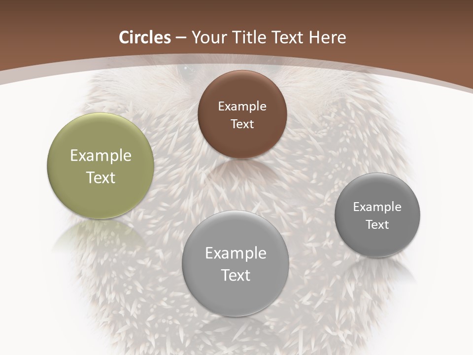 A Hedgehog Sitting On Top Of A White Plate PowerPoint Template