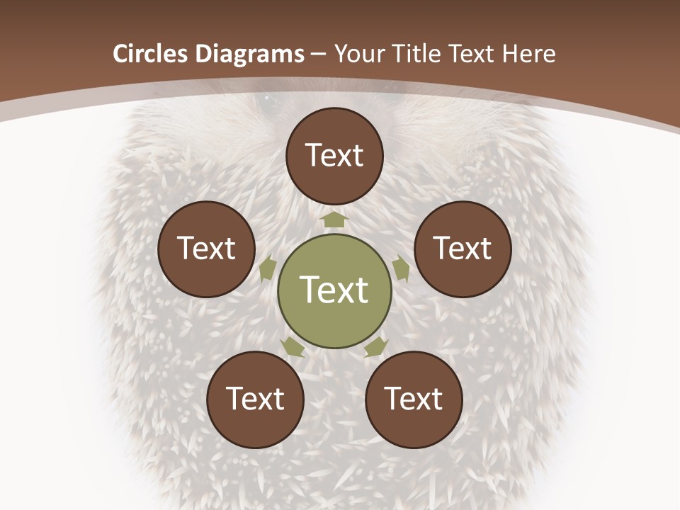 A Hedgehog Sitting On Top Of A White Plate PowerPoint Template