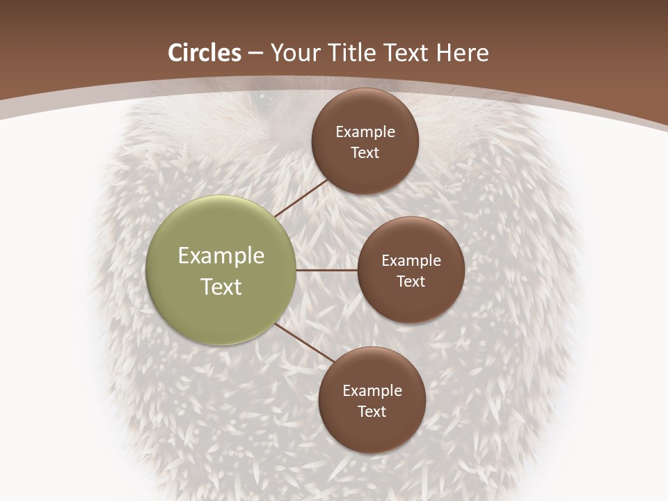 A Hedgehog Sitting On Top Of A White Plate PowerPoint Template