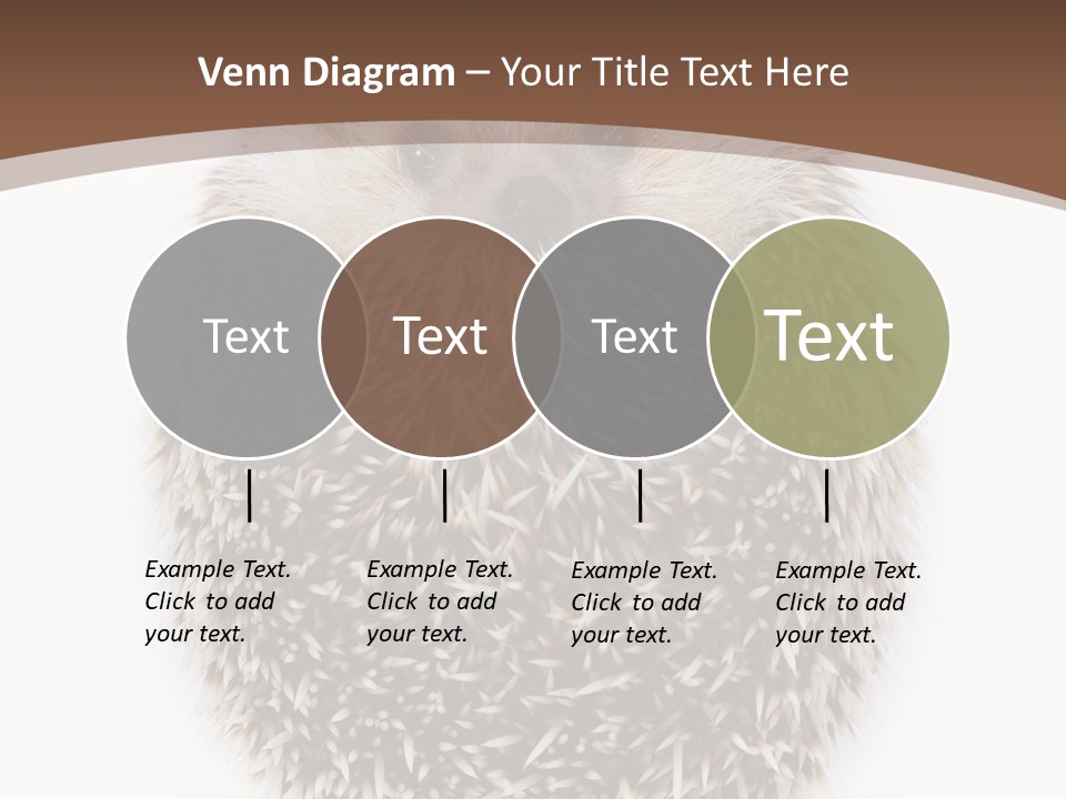 A Hedgehog Sitting On Top Of A White Plate PowerPoint Template