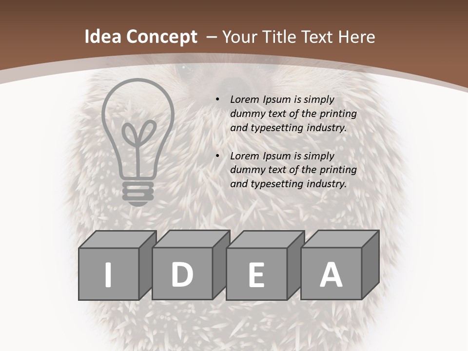 A Hedgehog Sitting On Top Of A White Plate PowerPoint Template
