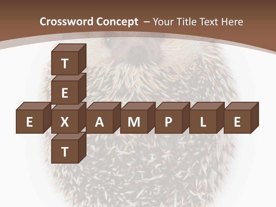 A Hedgehog Sitting On Top Of A White Plate PowerPoint Template